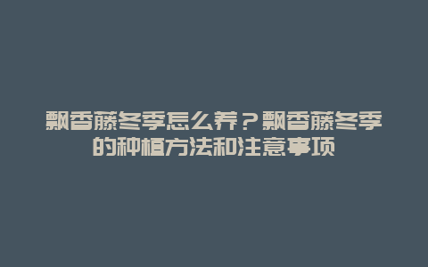 飘香藤冬季怎么养？飘香藤冬季的种植方法和注意事项