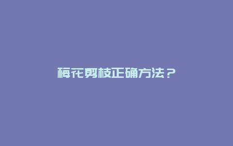 梅花剪枝正确方法？