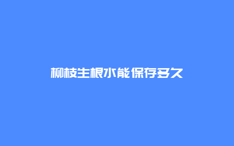 柳枝生根水能保存多久