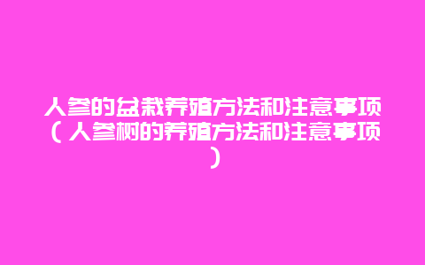 人参的盆栽养殖方法和注意事项（人参树的养殖方法和注意事项）