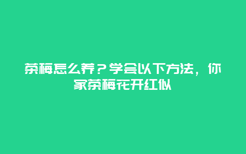 茶梅怎么养？学会以下方法，你家茶梅花开红似