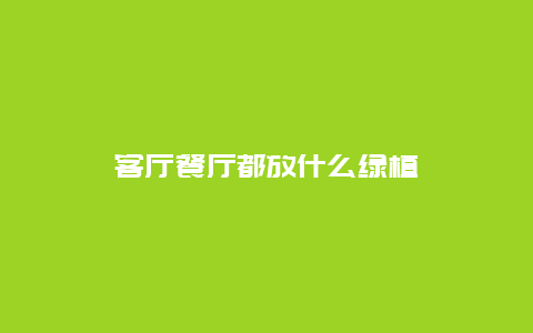 客厅餐厅都放什么绿植