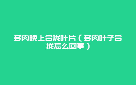 多肉晚上合拢叶片（多肉叶子合拢怎么回事）