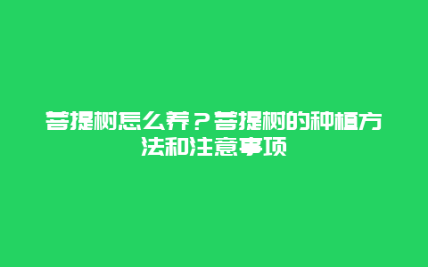 菩提树怎么养？菩提树的种植方法和注意事项