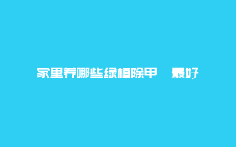 家里养哪些绿植除甲醛最好