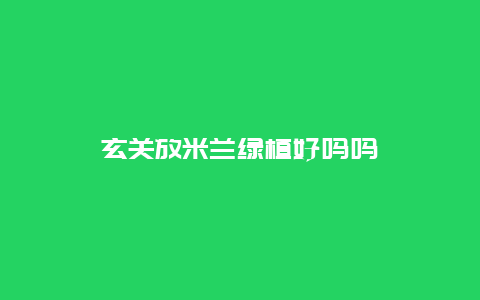 玄关放米兰绿植好吗吗