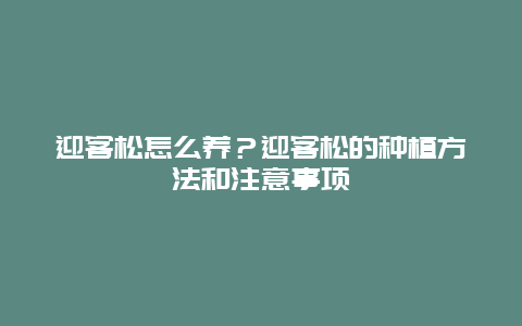 迎客松怎么养？迎客松的种植方法和注意事项