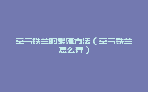 空气铁兰的繁殖方法（空气铁兰怎么养）