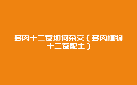 多肉十二卷如何杂交（多肉植物十二卷配土）