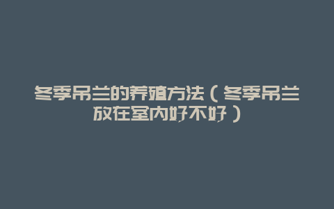 冬季吊兰的养殖方法（冬季吊兰放在室内好不好）