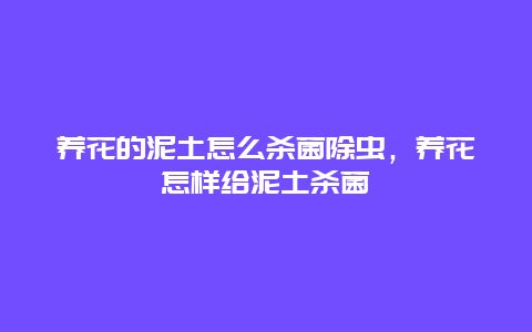 养花的泥土怎么杀菌除虫，养花怎样给泥土杀菌