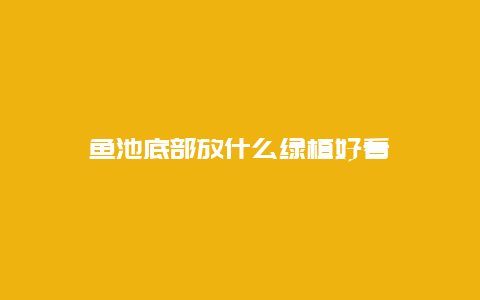 鱼池底部放什么绿植好看