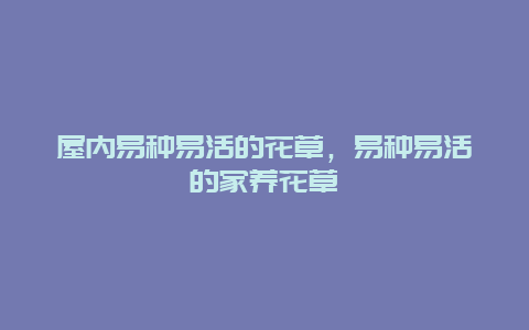 屋内易种易活的花草，易种易活的家养花草