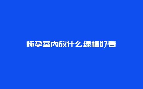 怀孕室内放什么绿植好看