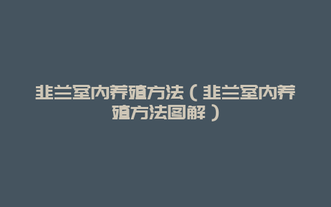 韭兰室内养殖方法（韭兰室内养殖方法图解）