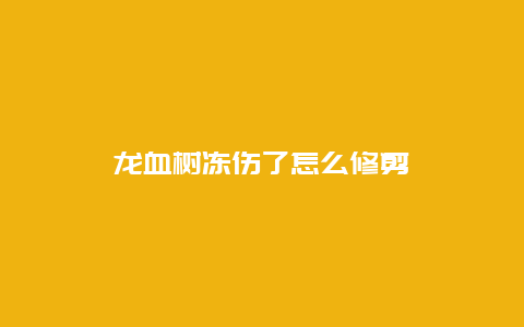 龙血树冻伤了怎么修剪