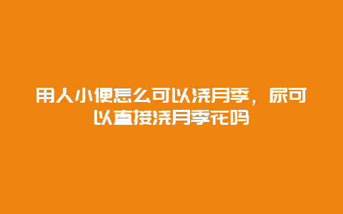 用人小便怎么可以浇月季，尿可以直接浇月季花吗