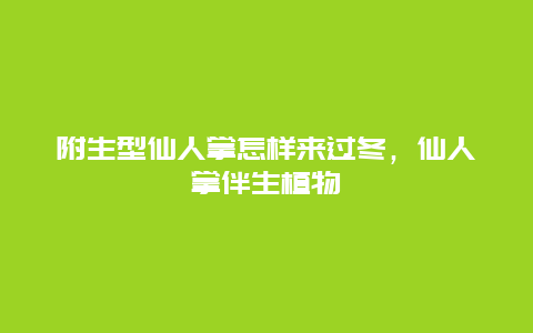 附生型仙人掌怎样来过冬，仙人掌伴生植物