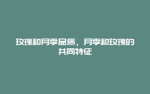 玫瑰和月季品质，月季和玫瑰的共同特征