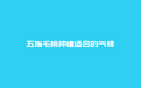 五指毛桃种植适合的气候