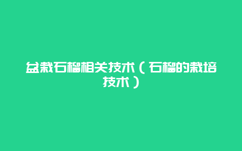 盆栽石榴相关技术（石榴的栽培技术）