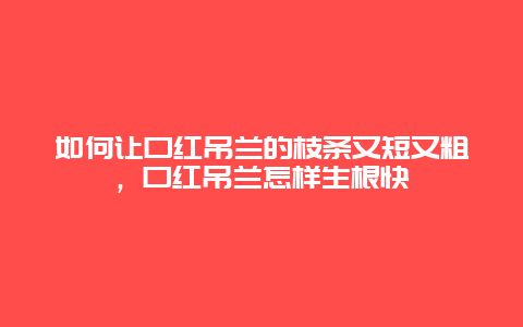 如何让口红吊兰的枝条又短又粗，口红吊兰怎样生根快