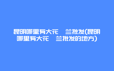 昆明哪里有大花蕙兰批发(昆明哪里有大花蕙兰批发的地方)