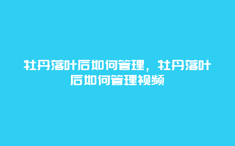 牡丹落叶后如何管理，牡丹落叶后如何管理视频