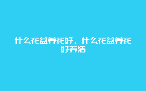 什么花盆养花好，什么花盆养花好养活