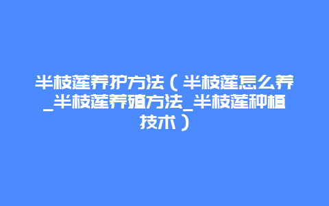 半枝莲养护方法（半枝莲怎么养_半枝莲养殖方法_半枝莲种植技术）