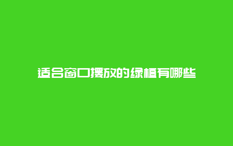 适合窗口摆放的绿植有哪些