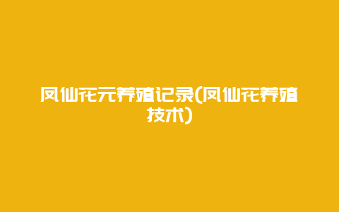 凤仙花元养殖记录(凤仙花养殖技术)