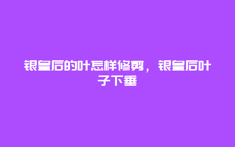 银皇后的叶怎样修剪，银皇后叶子下垂