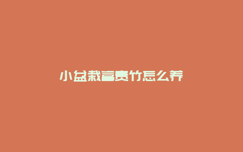 小盆栽富贵竹怎么养