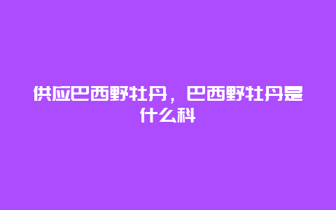 供应巴西野牡丹，巴西野牡丹是什么科