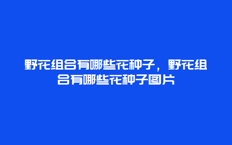 野花组合有哪些花种子，野花组合有哪些花种子图片