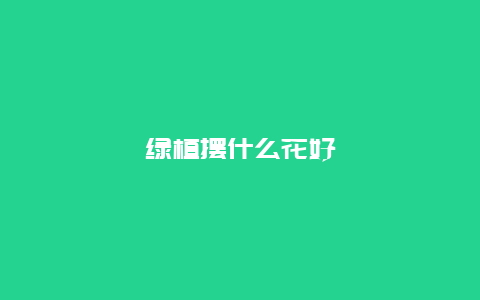 绿植摆什么花好