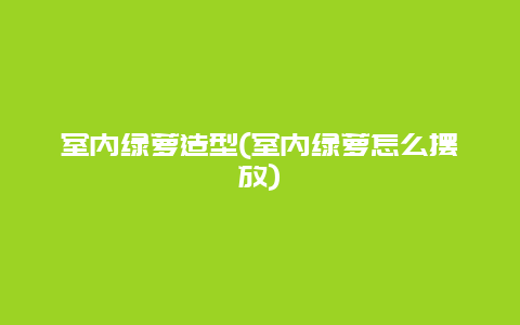 室内绿萝造型(室内绿萝怎么摆放)