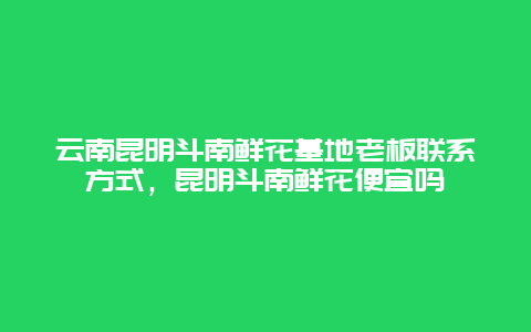 云南昆明斗南鲜花基地老板联系方式，昆明斗南鲜花便宜吗