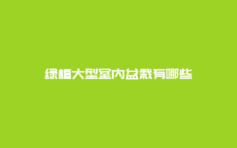 绿植大型室内盆栽有哪些