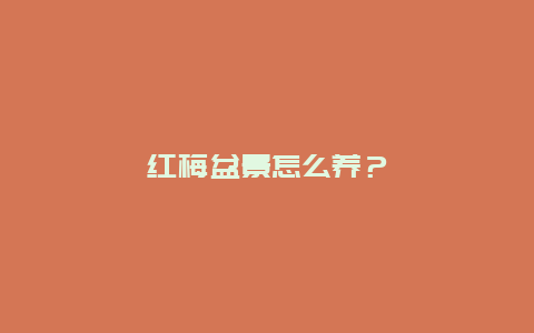 红梅盆景怎么养？