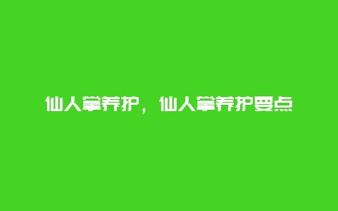 仙人掌养护，仙人掌养护要点