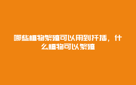 哪些植物繁殖可以用到扦插，什么植物可以繁殖