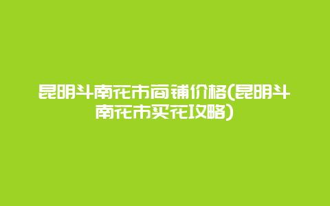 昆明斗南花市商铺价格(昆明斗南花市买花攻略)