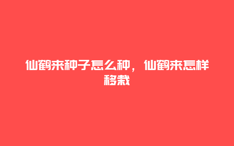 仙鹤来种子怎么种，仙鹤来怎样移栽