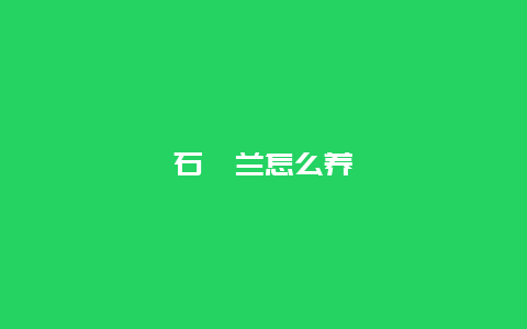 石斛兰怎么养