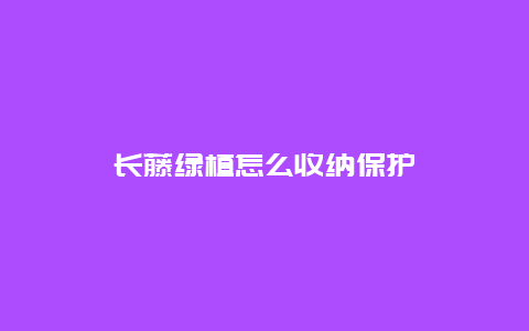 长藤绿植怎么收纳保护