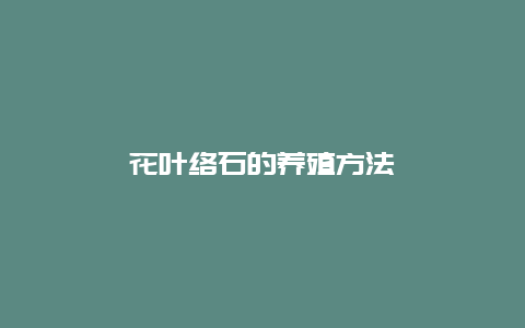 花叶络石的养殖方法