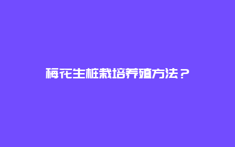 梅花生桩栽培养殖方法？