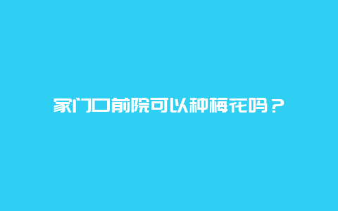 家门口前院可以种梅花吗？